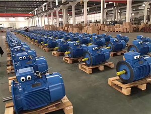 三相異步電動機按其外殼防護分為這幾類