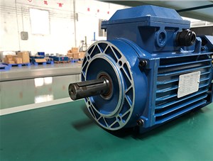 三相異步電動(dòng)機(jī)的溫度檢測(cè)與過(guò)熱保護(hù)